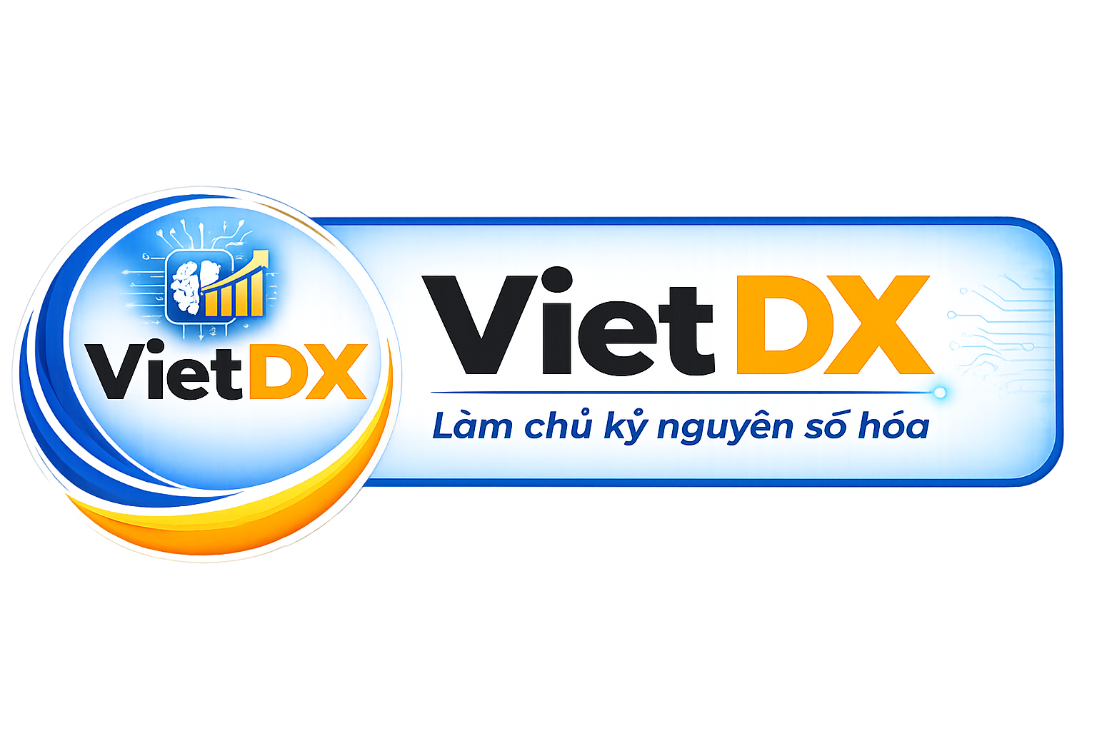 VietDX Logo